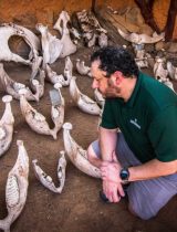 Jes Lefcourt aims to guard African wildlife by creating a real-time tracking software